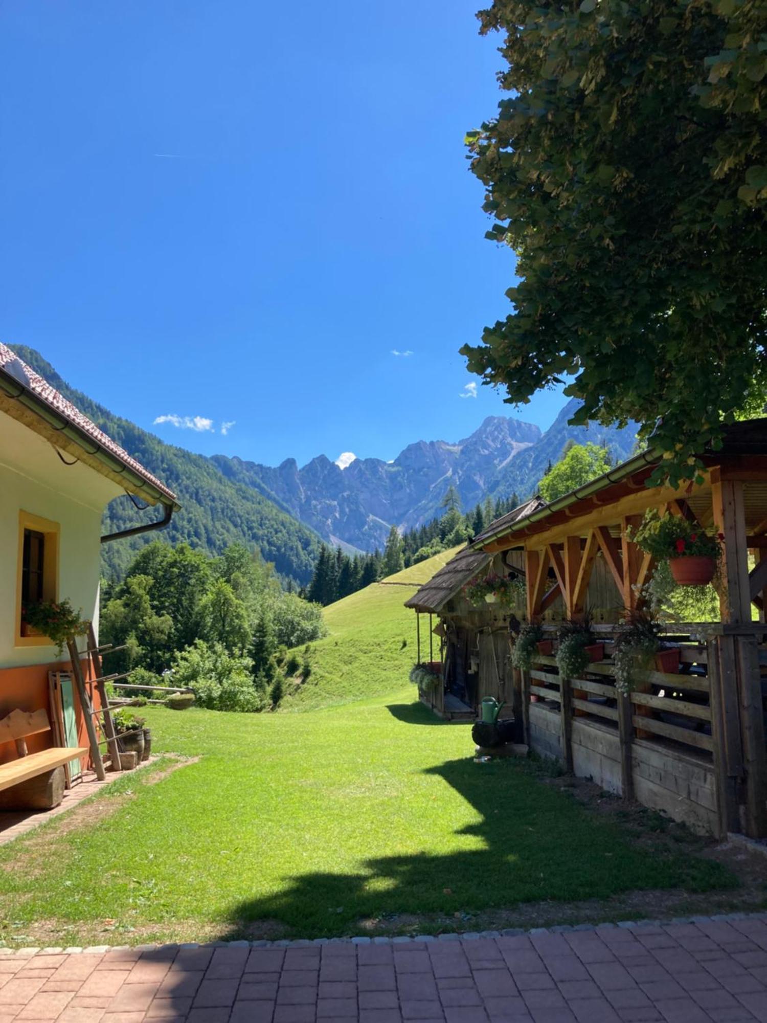 Tourist farm Gradišnik Lägenhet Solčava Exteriör bild