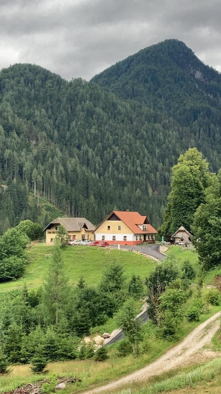 Tourist farm Gradišnik Lägenhet Solčava Exteriör bild