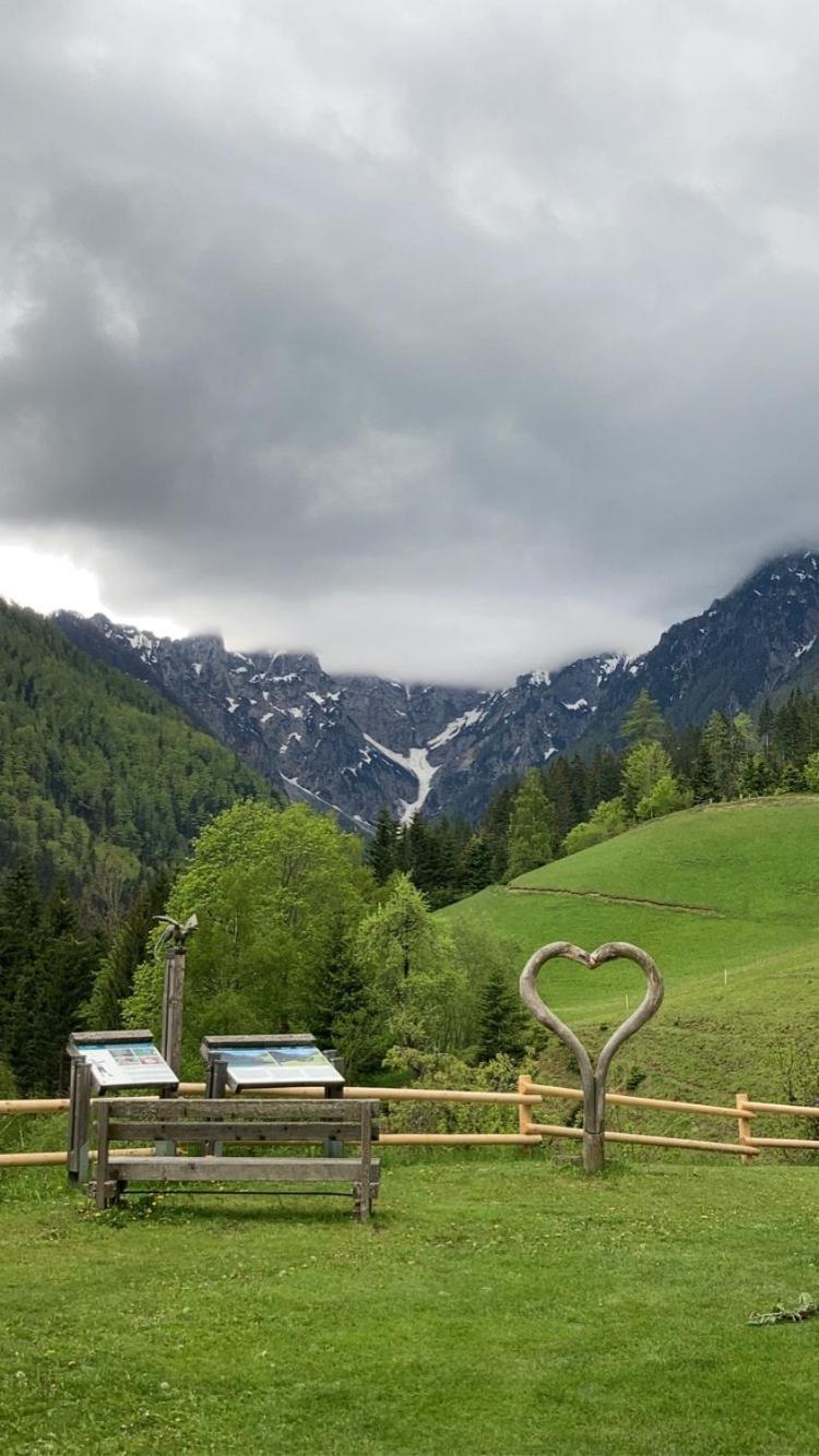 Tourist farm Gradišnik Lägenhet Solčava Exteriör bild