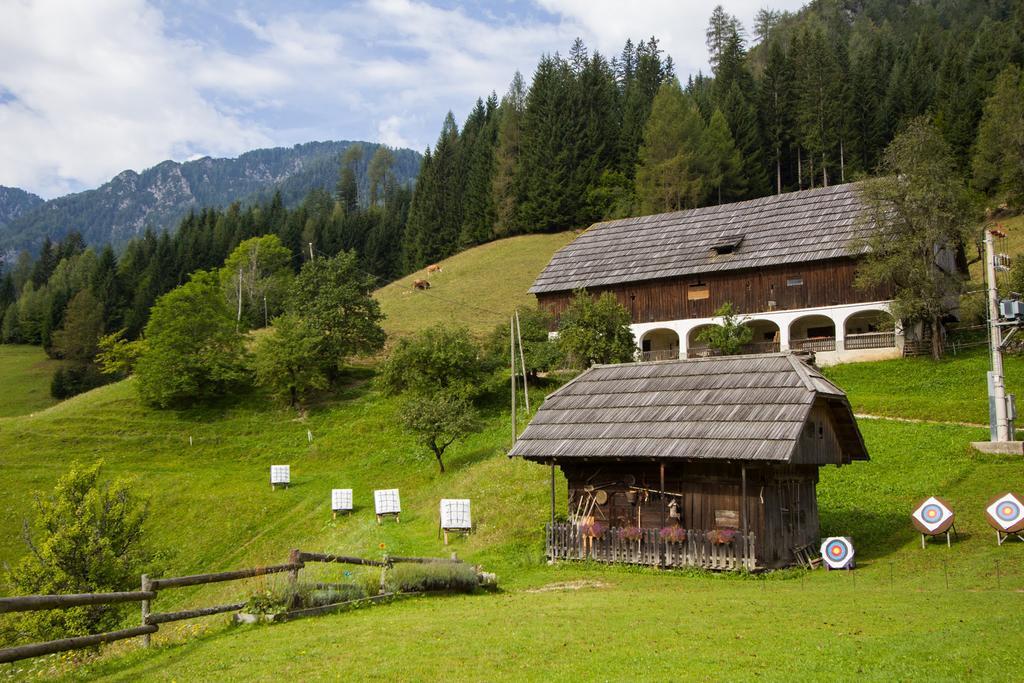 Tourist farm Gradišnik Lägenhet Solčava Exteriör bild