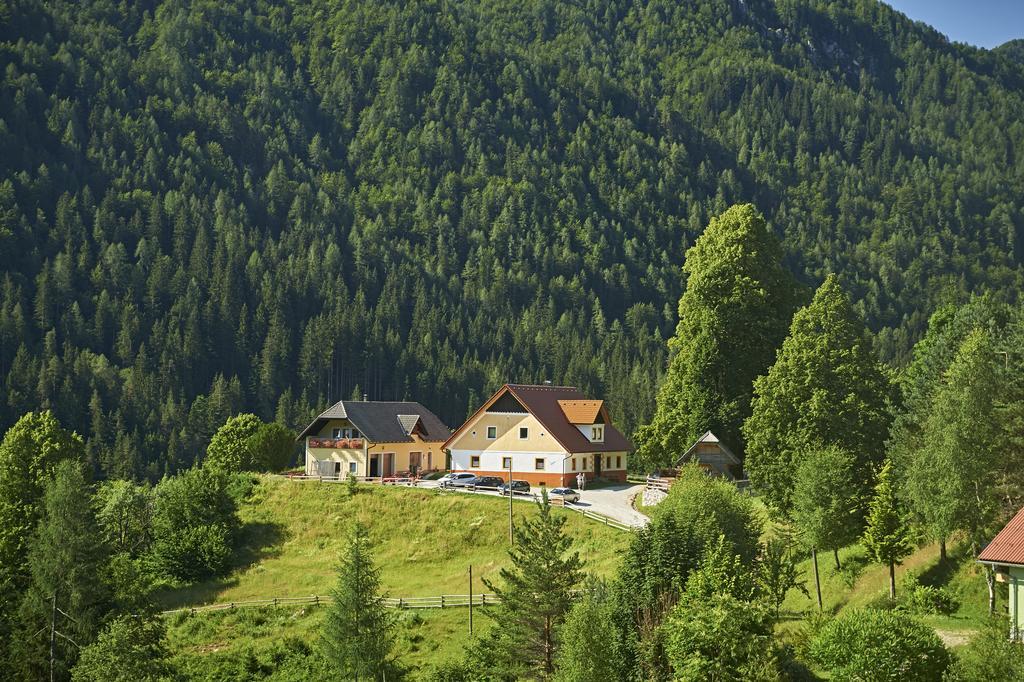 Tourist farm Gradišnik Lägenhet Solčava Exteriör bild