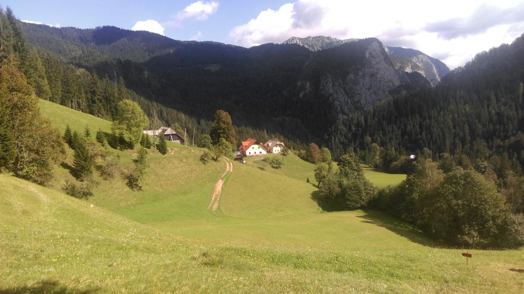 Tourist farm Gradišnik Lägenhet Solčava Exteriör bild