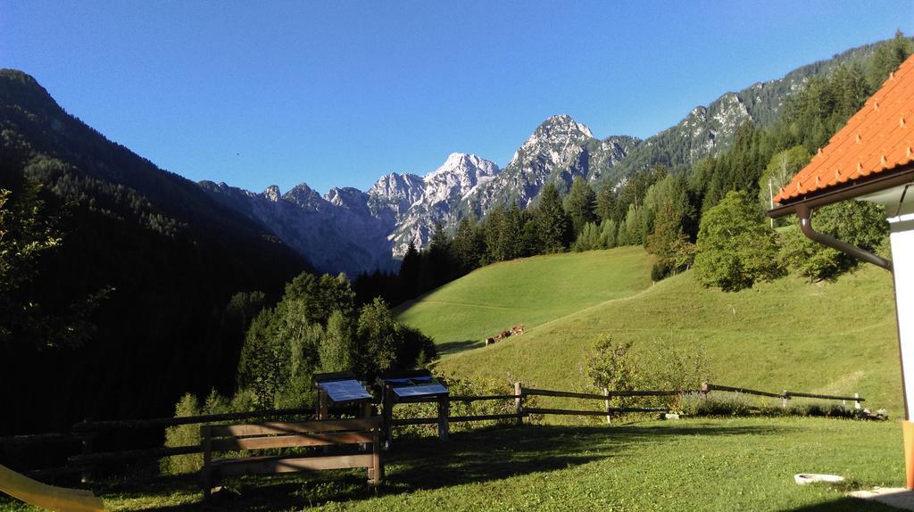 Tourist farm Gradišnik Lägenhet Solčava Exteriör bild
