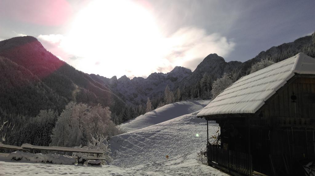 Tourist farm Gradišnik Lägenhet Solčava Exteriör bild